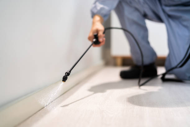 Licensed Pest Control service in Breaux Bridge, LA - Show Me Pest Control