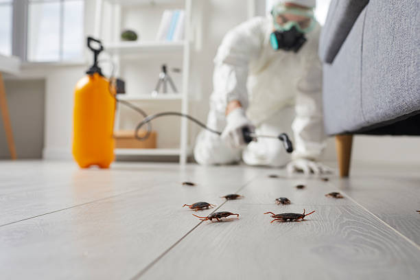 Commercial Kitchen Cockroach Control in Breaux Bridge